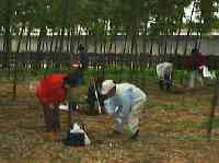 �����P�Q�N�S���P�T��